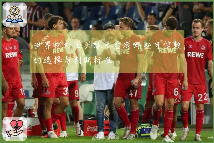 世界杯外围买球平台有哪些可信赖的选择与判断标准